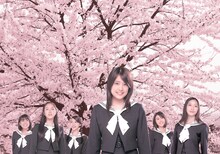 福田沙紀、寺島咲、杏、大島優子（AKB48）、はねゆり、武井咲、米倉涼子、菊川怜、上戸彩ら豪華キャストで2008年によみがえる名作「櫻の園」。