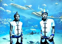 左がRYUKYUDISKO・廣山哲史、右がRYUKYUDISKO・廣山陽介、後ろがジンベイザメ。