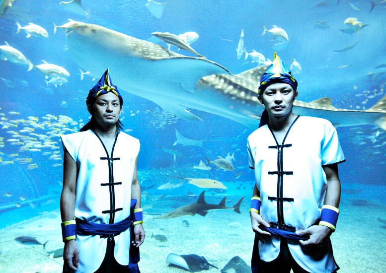 2人の実弟NAOTO（ORANGE RANGE）が参加した前作「OK Sampler」に続く、2008年第2弾シングルが登場。