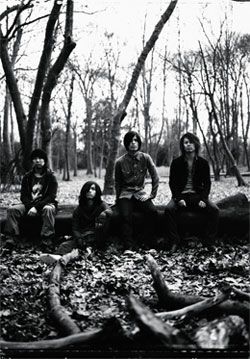 最新アルバム「フォレストーン」を携えての全国ツアーは7月6日にZepp Tokyoで幕を閉じたばかり。