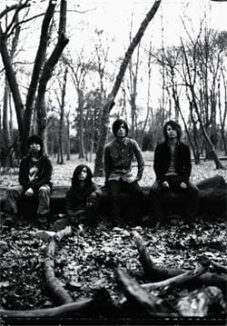 最新アルバム「フォレストーン」を携えての全国ツアーは7月6日にZepp Tokyoで幕を閉じたばかり。