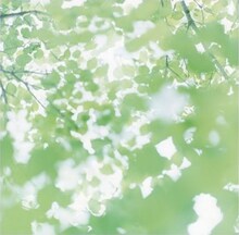 1stミニアルバム「PERIDOTS」に続いてキーカラーが緑色となったジャケット。エバーグリーンなみずみずしいトーンが印象的だ。