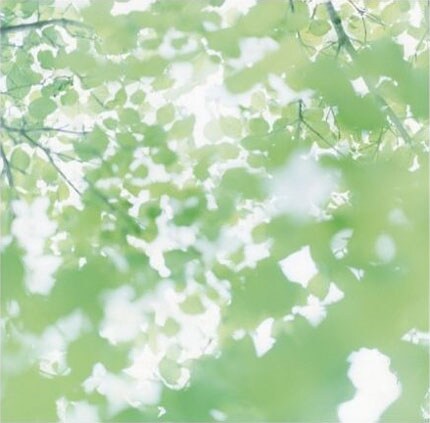 写真は2008年7月に発表された2ndミニアルバム「EVERY LOVE SONG」ジャケット。