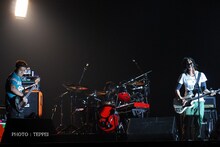 ストレイテナー