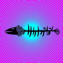 収録される4曲の中でも「ナイトフィッシングイズグッド」は、オーディエンスとの一体感に満ちたライブテイクで特に強い支持を受けているナンバー。今回の収録はファンにとって嬉しいところだ。