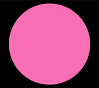 「亀」は今夏発売されたCKBの最新アルバム「ZERO」（写真）収録曲。