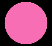 「亀」は今夏発売されたCKBの最新アルバム「ZERO」（写真）収録曲。