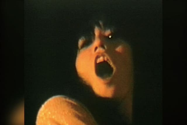 村八分のチャー坊こと柴田和志。日本のみならず海外にも多くマニアが存在するニュー・ロックの貴重映像とあって、多くの注目を集めることになりそうだ。