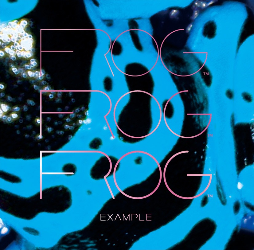 上の写真はアルバム「EXAMPLE」ジャケット。本作にはゲストボーカリストとしてnoon、高津哲也（ex. RUNT STAR）、青野りえ（AOYAMA）櫛引彩香が参加している。