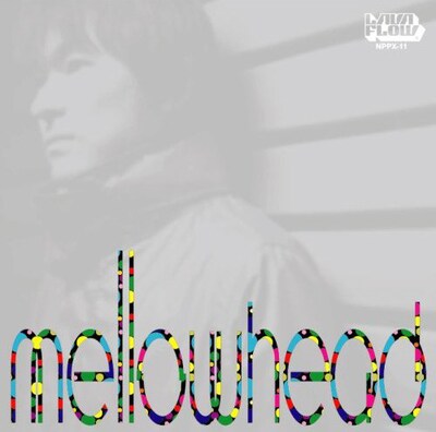 ひさびさにmellowheadとして登場する深沼元昭。今後どのような展開を見せてくれるのか楽しみにしておこう（写真は1stアルバム「mellowhead」）。