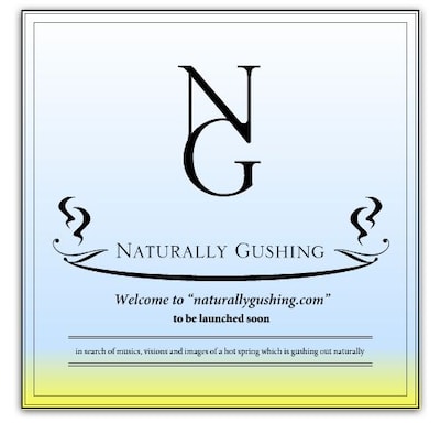 画像は現在仮オープンしているNaturally Gushingのオフィシャルサイト。