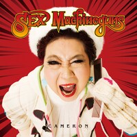 アルバムタイトルにちなんでか、携帯片手にどことなくキャメロン・ディアスを意識したかのようなおばちゃん。