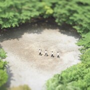 栗コーダー新作にUA、潮音、鈴木博文がボーカル参加