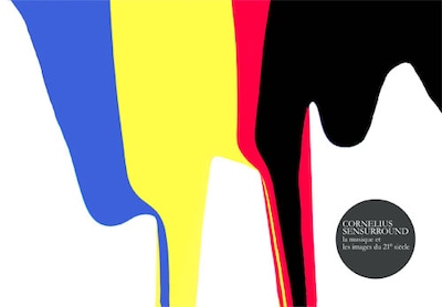 DVD「SENSURROUND」では辻川幸一郎、高木正勝、groovisionsの手がけたハイクオリティな映像が楽しめる。