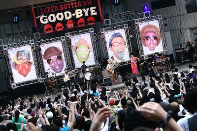 解散ライブの模様はDVDとして12月10日にリリース。これと同時に、スタジオ音源を全て収録した7枚組ボックスセット「SUPER BUTTER BOX」、オリジナルアルバムのリマスタリング盤も発売が決定している。