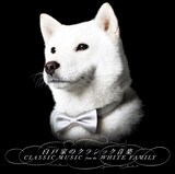 白戸家の お父さん 今度はオーケストラ指揮者に 音楽ナタリー