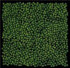 MONG HANGメンバー追悼フェスを実家の庭で開催