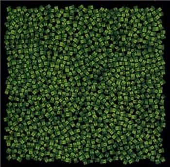 MONG HANGは現BEAT CRUSADERSのケイタイモらを中心に大学サークルで結成されたアバンギャルドなプログレバンド。PANICSMILEの石橋英子、デブパレードのugazin、TUFF SESSIONのyohei bohemianらもメンバーを務めている。（写真は2001年発売のアルバム「MONG HANG」）