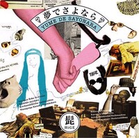 シングル「夢でさよなら」には初回限定盤のみボーナストラック「話に夢中の魚は無感動」を収録。