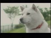 ミュージックビデオの1シーン。