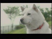 ミュージックビデオの1シーン。