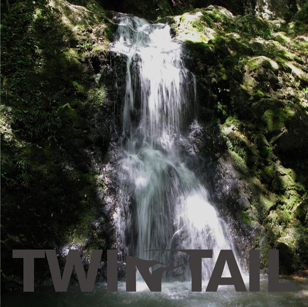 TWIN TAILは、中村達也、勝井祐二、照井利幸、映画監督の豊田利晃によって結成されたユニット（写真は1stアルバム「すべては許されている」）。
