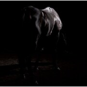 jealkbがメジャー1stアルバムを11月にリリース