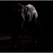 jealkbは、10月16日にはShibuya O-EASTで行われるライブイベント「heart shaped box」に出演。the studs、heidi.といった実力派ヴィジュアル系バンドと対バンを繰り広げる（写真は10月22日発売のニューシングル「嘆きのエンドレス」）。