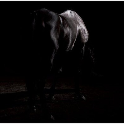 jealkbは、10月16日にはShibuya O-EASTで行われるライブイベント「heart shaped box」に出演。the studs、heidi.といった実力派ヴィジュアル系バンドと対バンを繰り広げる（写真は10月22日発売のニューシングル「嘆きのエンドレス」）。