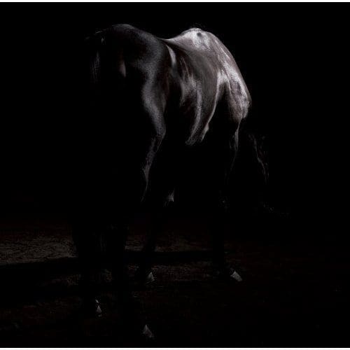 jealkbは、10月16日にはShibuya O-EASTで行われるライブイベント「heart shaped box」に出演。the studs、heidi.といった実力派ヴィジュアル系バンドと対バンを繰り広げる（写真は10月22日発売のニューシングル「嘆きのエンドレス」）。