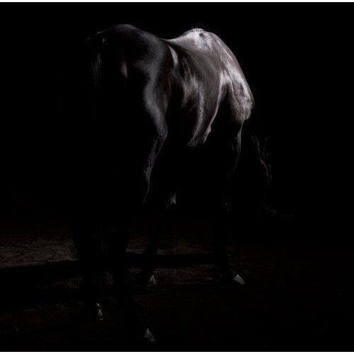 jealkbは、10月16日にはShibuya O-EASTで行われるライブイベント「heart shaped box」に出演。the studs、heidi.といった実力派ヴィジュアル系バンドと対バンを繰り広げる（写真は10月22日発売のニューシングル「嘆きのエンドレス」）。