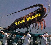 1992年発売の「ブラックハワイ」。