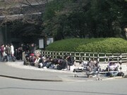 午前10時にはすでに熱心なファンが多数集結。今も行列はリアルタイムで伸び続けている。