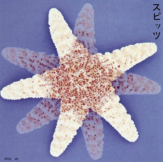 写真は1991年3月にリリースされた1stアルバム「スピッツ」。