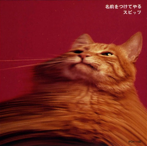 「名前をつけてやる」