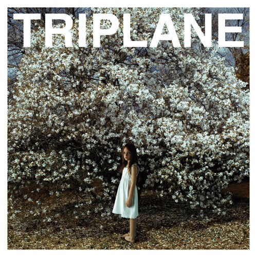 「白い花」初回限定盤ジャケット。