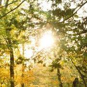 1stアルバム「still have nothing to be sure」ジャケット