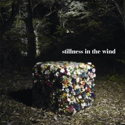 12月10日リリース「stillness in the wind」付属DVDには、レコーディングのドキュメント映像やアコースティックセッションを収録。