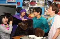 DEERHOOFは1月30日～2月1日に東名阪を回る来日ツアーを行った。