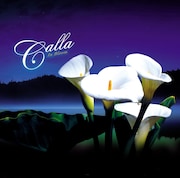 女性ストリングスカルテット、冬仕様カバー集発売