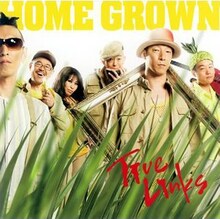 今後はTanco、Mama-R、Yukky、i-Watch、Shinji-manの5名で活動していくことになったHome Grown。それぞれの活躍に期待しておこう（写真は2008年7月16日リリースのアルバム「True Links」ジャケット）。