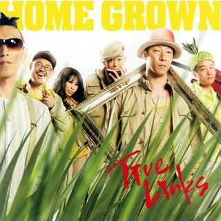 今後はTanco、Mama-R、Yukky、i-Watch、Shinji-manの5名で活動していくことになったHome Grown。それぞれの活躍に期待しておこう（写真は2008年7月16日リリースのアルバム「True Links」ジャケット）。