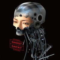 シングル「GHOST」DEARS限定盤（写真）にはビデオクリップが収められたDVDが付属する。