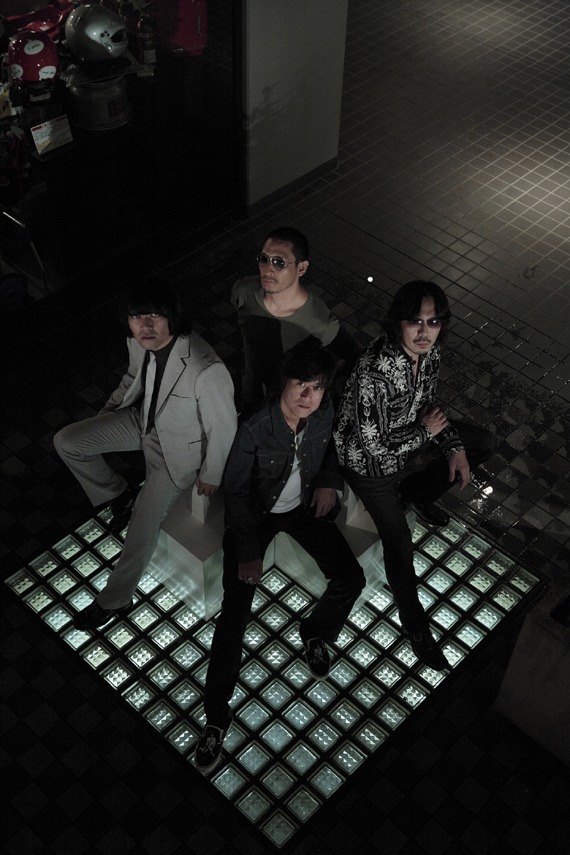 THE COLLECTORS