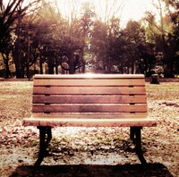 シングル「今でもずっと」ジャケット