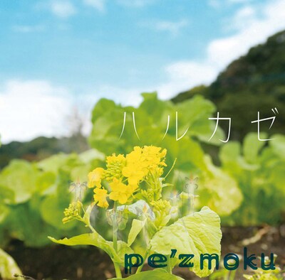 2月4日リリースされる1stシングル「ハルカゼ」。