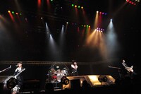 シド（写真は右クリック禁止です）