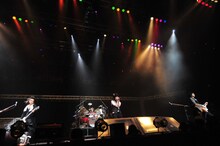 シド（写真は右クリック禁止です）