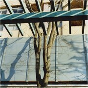 三島賞作家・古川日出男が強力ゲスト迎えCDデビュー