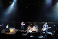 シド（写真は右クリック禁止です）